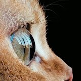 channels4_profile (3)